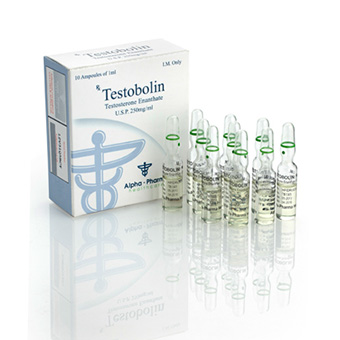 Alpha Pharma Testo E (Testobolin) - 250mg/ml